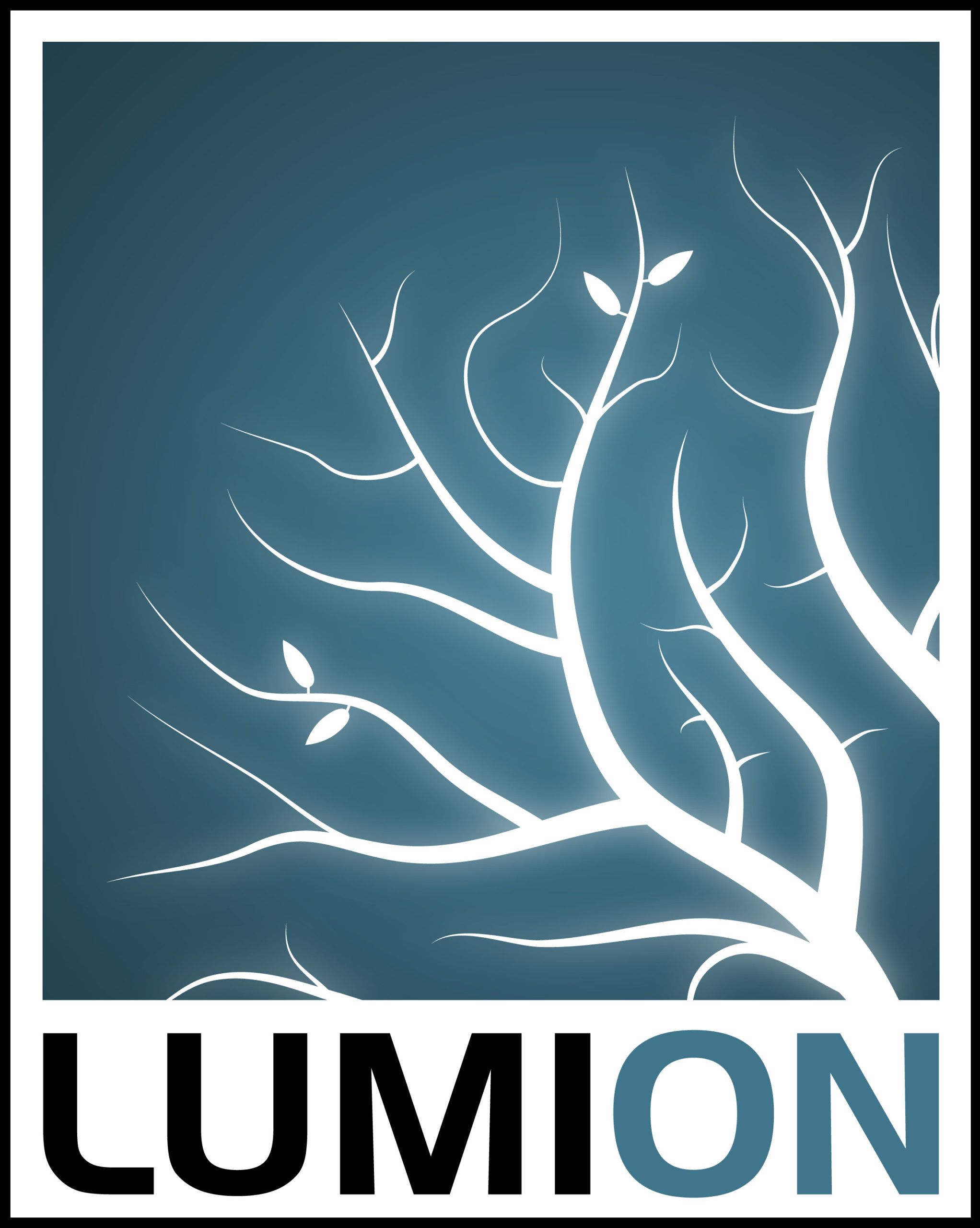 CERTIFICATE IN LUMION 3D