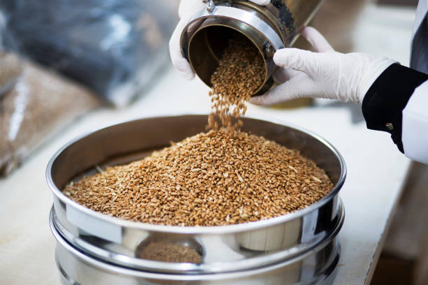 SEED PRODUCTION TECHNICAN