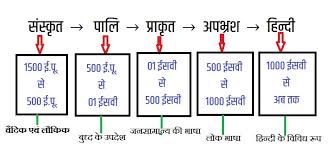 Hindi Language- Hindi bhasha ka Udbhav aur Vilkas(minor)